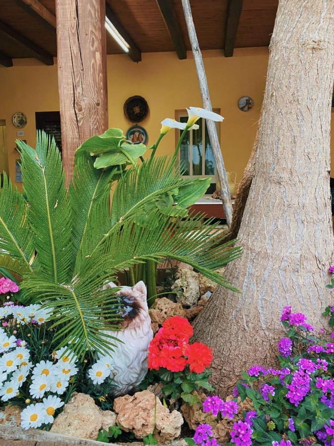 La Casa Di Anna Hotel Marsala Exterior photo
